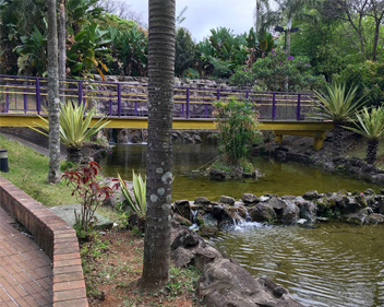 Imagem Grande ABC reúne inúmeras opções de lazer